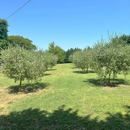 Dimora Riviera Appartement San Giovanni In Marignano