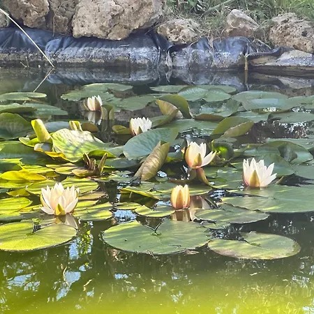 Dimora Riviera Appartement *