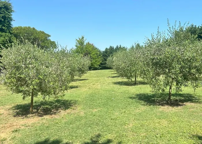 Dimora Riviera Apartman San Giovanni in Marignano