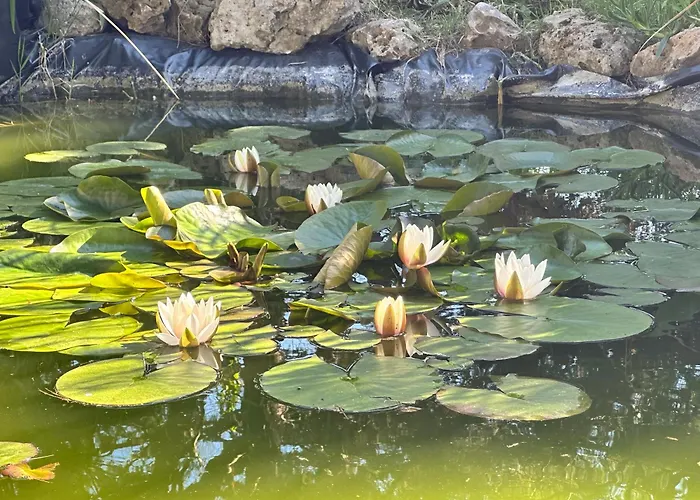 Dimora Riviera شقة *